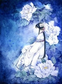 我的怪物老婆们