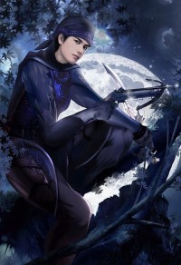 英雄联盟之至尊王者
